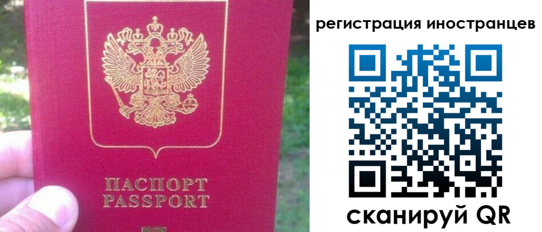 временная регистрация законно в Железногорске